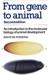 From Gene to Animal
