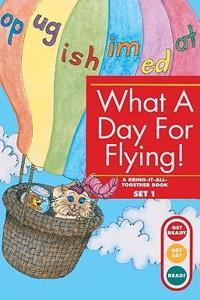 What a Day for Flying