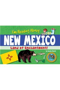 I'm Reading about New Mexico