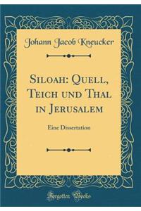 Siloah: Quell, Teich Und Thal in Jerusalem: Eine Dissertation (Classic Reprint)