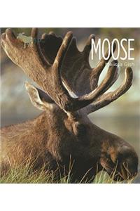 Living Wild: Moose