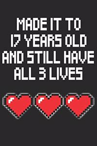 17 Years Old 3 Lives