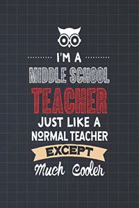 I'm A Middle School Teacher Just Like A Normal Teacher Except Much Cooler