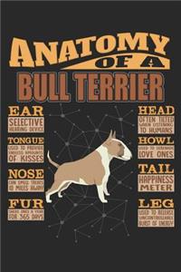 Anatomy Of A Bull Terrier