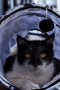 Chat Carnet de notes