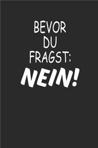 Bevor Du Fragst: Nein!: Notizbuch Lustiges Notebook Fun Journal 6x9 Lined