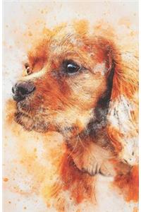 2019-2020 Academic Planner Weekly and Monthly Curious Dog