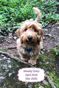 Weekly Diary April 2019-Dec 2020: 6x9 week to a page planner with notes & to do list each week. Extra notes pages included. Perfect for self-employed, business, shift workers & as ch