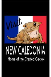 Visit New Caledonia Home of the Crested Gecko