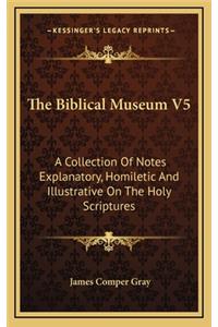 The Biblical Museum V5