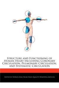 Structure and Functioning of Human Heart Including Coronary Circulation, Pulmonary Circulation, and Systematic Circulation