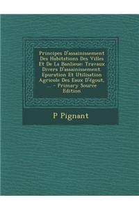 Principes D'Assainissement Des Habitations Des Villes Et de La Banlieue: Travaux Divers D'Assainissement. Epuration Et Utilisation Agricole Des Eaux D'Egout, ... - Primary Source Edition