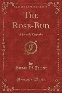 The Rose-Bud