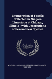 Enumeration of Fossils Collected in Niagara Limestone at Chicago, Illinois; With Descriptions of Several new Species