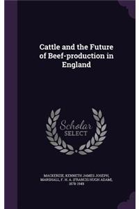 Cattle and the Future of Beef-production in England