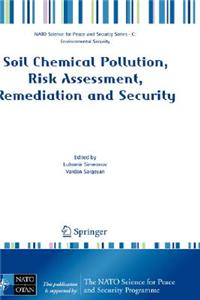 Soil Chemical Pollution, Risk Assessment, Remediation and Security