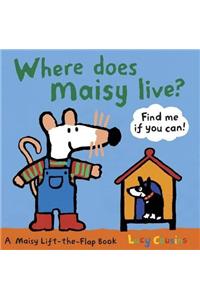 Where Does Maisy Live?