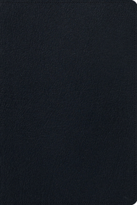 ESV Men's Study Bible