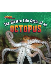 Bizarre Life Cycle of an Octopus