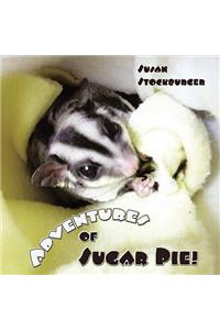 Adventures of Sugar Pie!