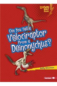 Can You Tell a Velociraptor from a Deinonychus?