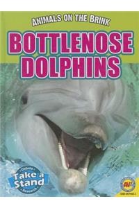 Bottlenose Dolphins