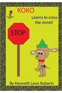 Koko: Learns to Cross the Street
