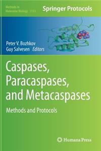 Caspases, Paracaspases, and Metacaspases