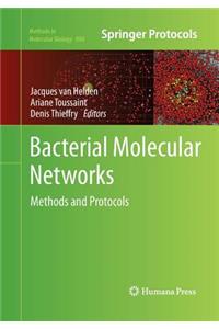 Bacterial Molecular Networks