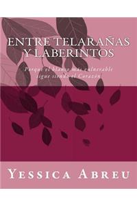 Entre Telarañas y Laberintos