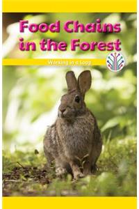 Food Chains in the Forest