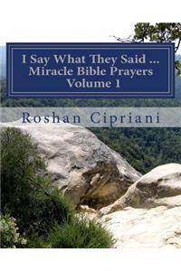 I Say What They Said - Miracle Bible Prayers Volume 1