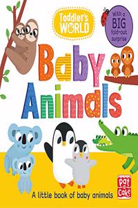 Toddler's World: Baby Animals