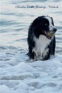 Border Collie January Notebook Border Collie Record, Log, Diary, Special Memories, To Do List, Academic Notepad, Scrapbook & More