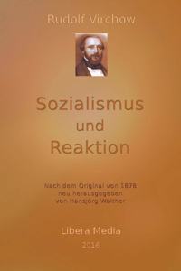 Sozialismus und Reaktion