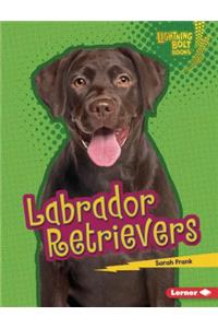 Labrador Retrievers