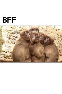 BFF (Journal / Notebook)