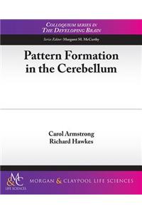 Pattern Formation in the Cerebellum