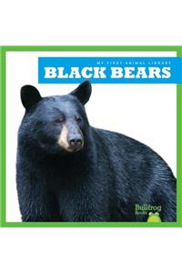 Black Bears