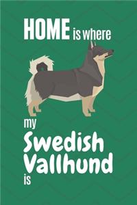 Home is where my Swedish Vallhund is