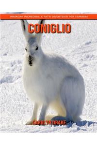 Coniglio