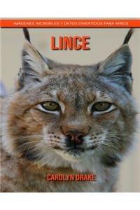 Lince