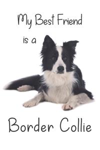 My best Friend is a Border Collie (Squared Paper)