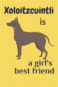 Xoloitzcuintli is a girl's best friend
