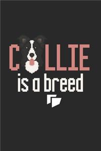 Border Collie Notebook