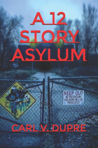 12 Story Asylum