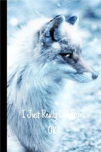 I Just Really Like Foxes, OK?