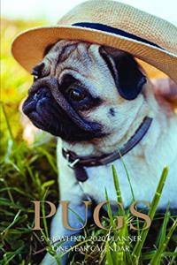 Pugs 5 x 8 Weekly 2020 Planner