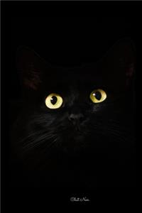 Chat noir