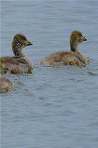 Young Geese Notebook